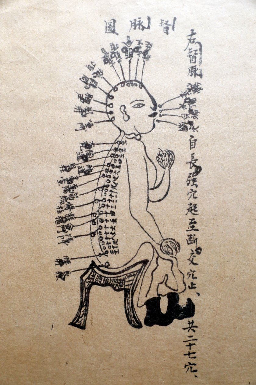Museo della Medicina Tradizionale Vietnamita, I canali e i vasi, Libro di agopuntura, Ho Chi Minh City, Vietnam da Unbekannt