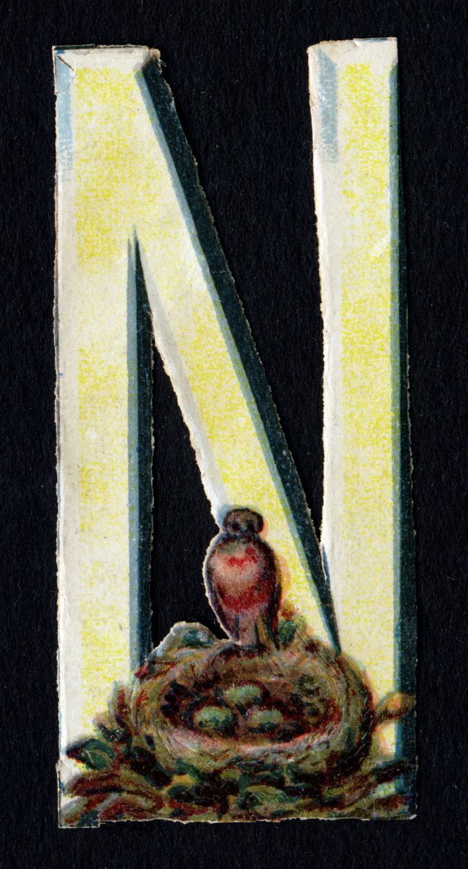 N come Nido. Decoupis di coleotteri sul tema degli animali. Incisione. Serie di 26 cromolitografie waffle di origine inglese. Editore e illustratore sconosciuti. Fine XIX secolo. da Unbekannt