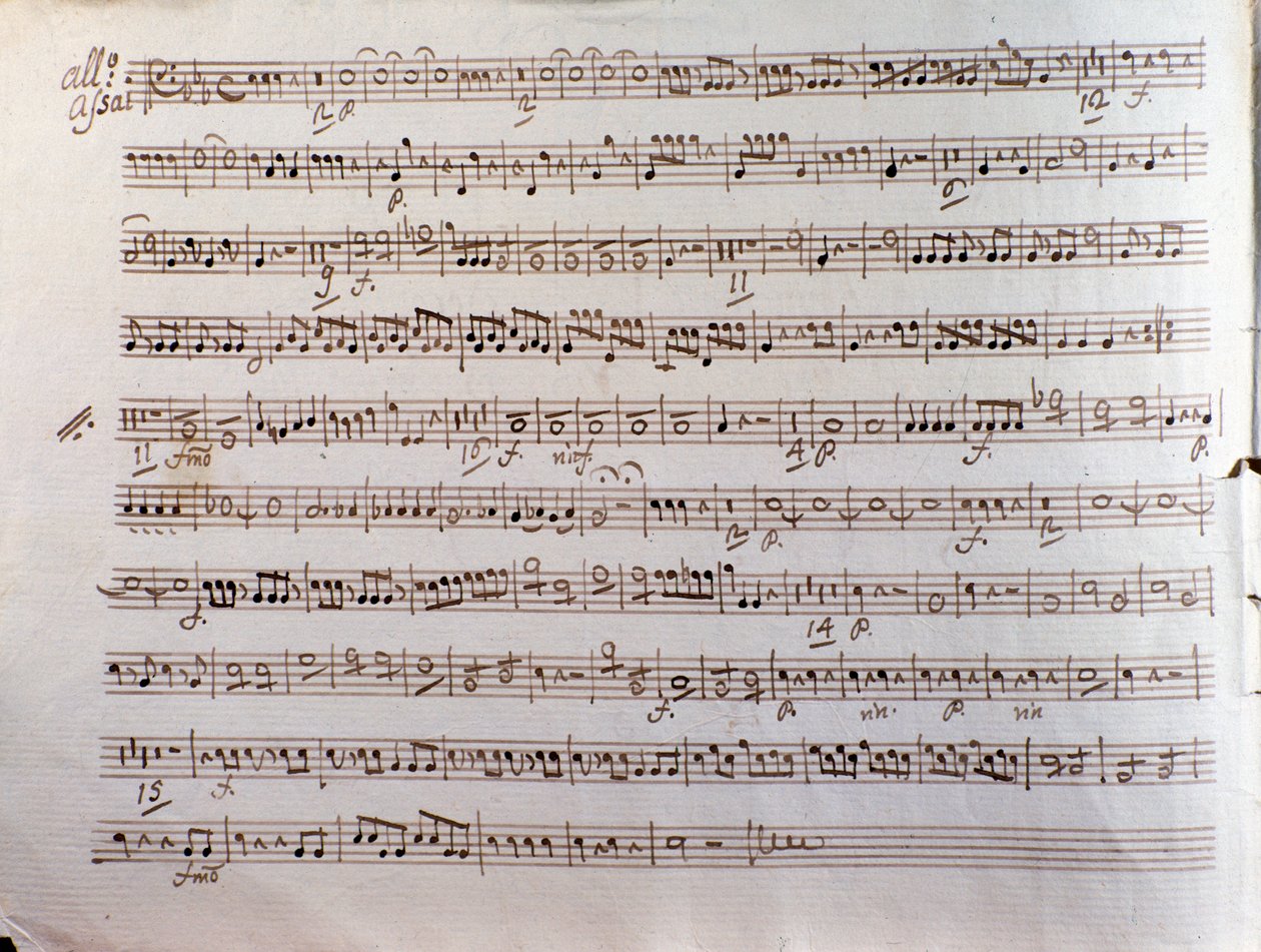 Pagina di spartito musicale di una Sinfonia concertante di Pleyel da Unbekannter Künstler