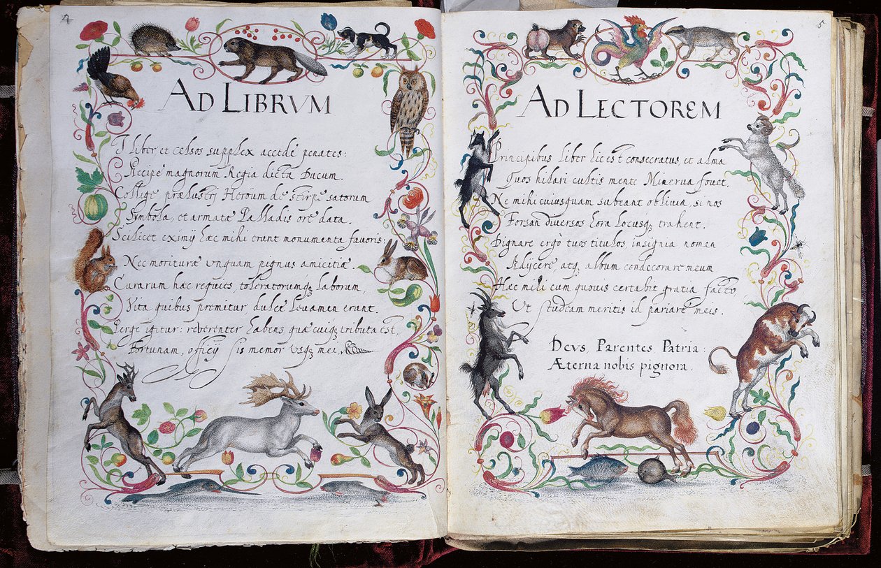 Pagine dall