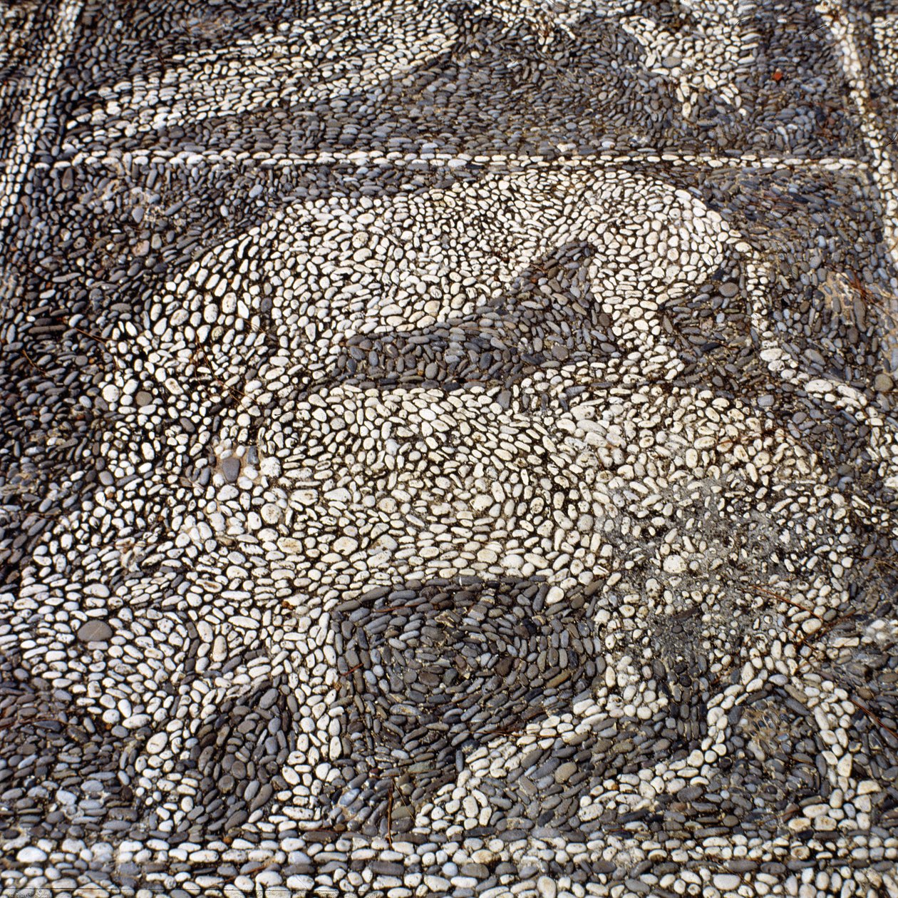 Pantera che attacca un toro (mosaico di pietra) da Unbekannt