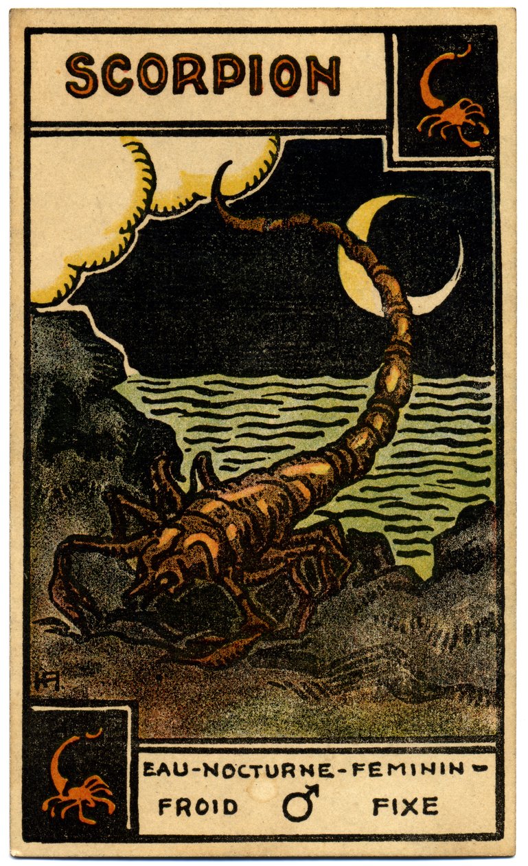 Paranormale. Astrologia. Scorpione (lo Scorpione). Carta astrologica da: Le Tarot Astrologique, di Georges Muchery, Francia da Unbekannter Künstler