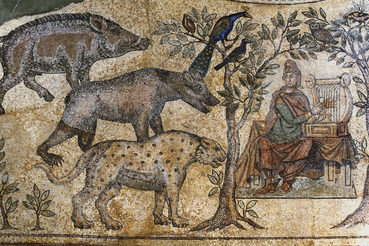 Piccardia 073 - Laon - Casa delle Associazioni - Mosaico romano di Blanzy - "Orfeo incanta gli animali" da Unbekannt