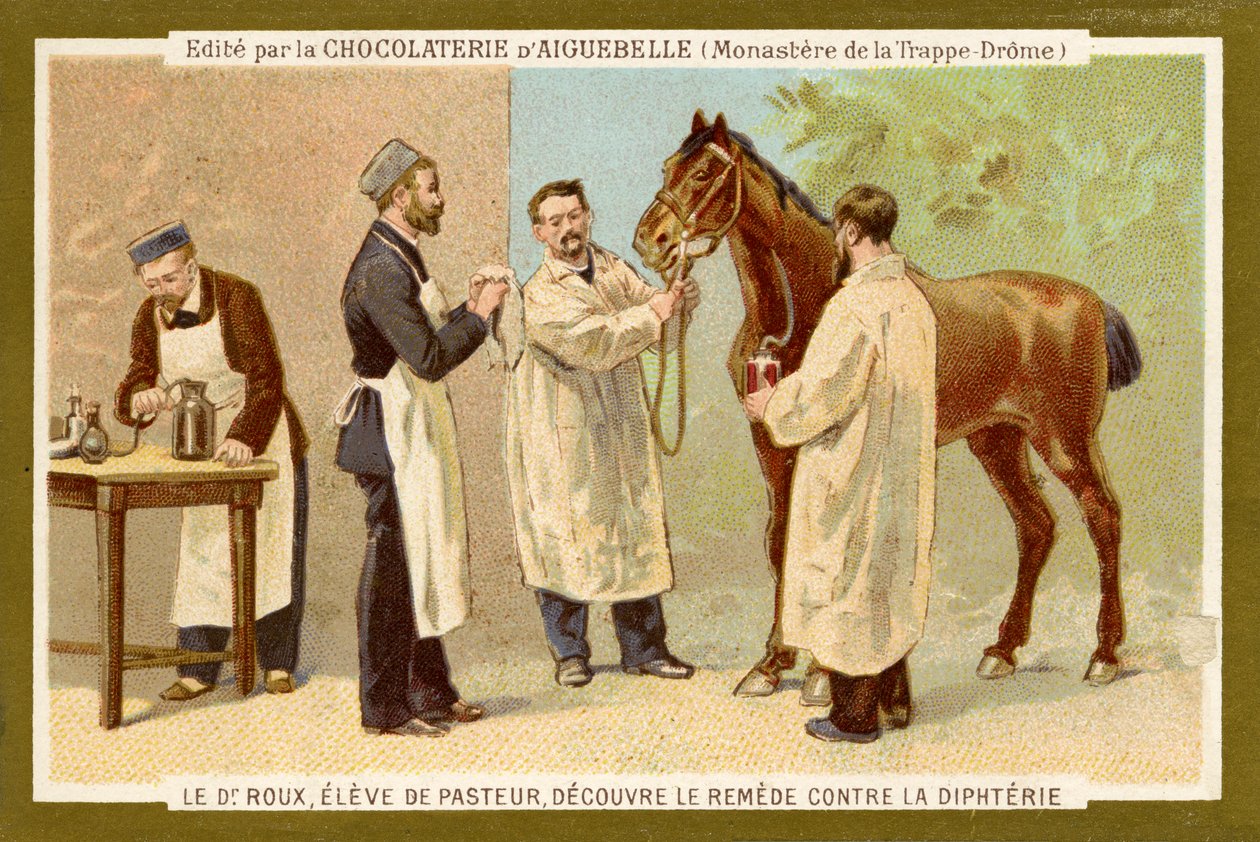 Pierre Paul Émile Roux da Unbekannter Künstler