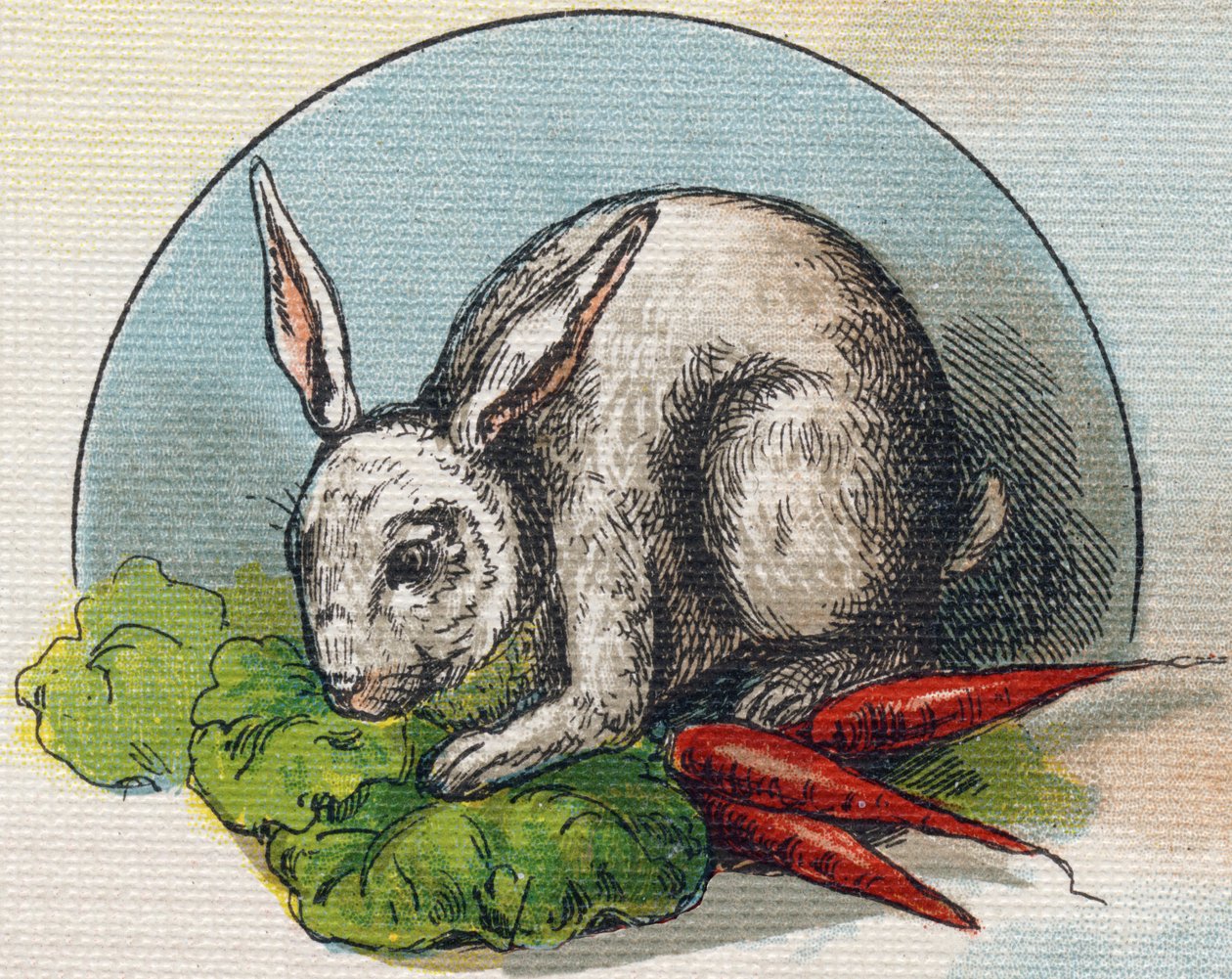 Coniglio che mangia una carota. Incisione in "Alphabet de ma petite fille". Bernardin-Bechet e Fils, librai-editori, Parigi, circa 1895. Album infrangibile su tela. Bibliothèque des Bebes. da Unbekannt
