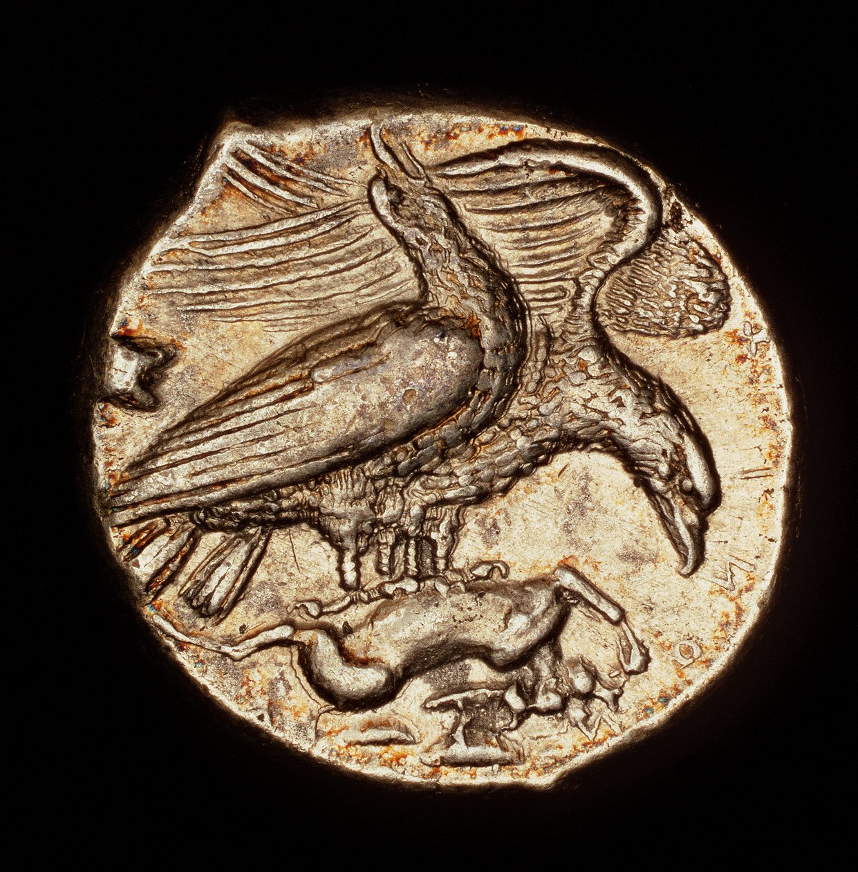 Rara moneta greca antica, dracma d