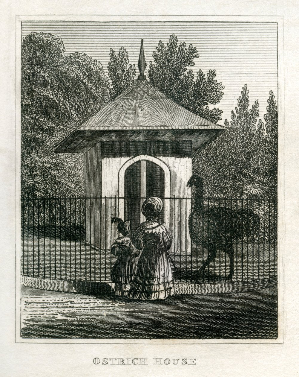 Zoo di Regent