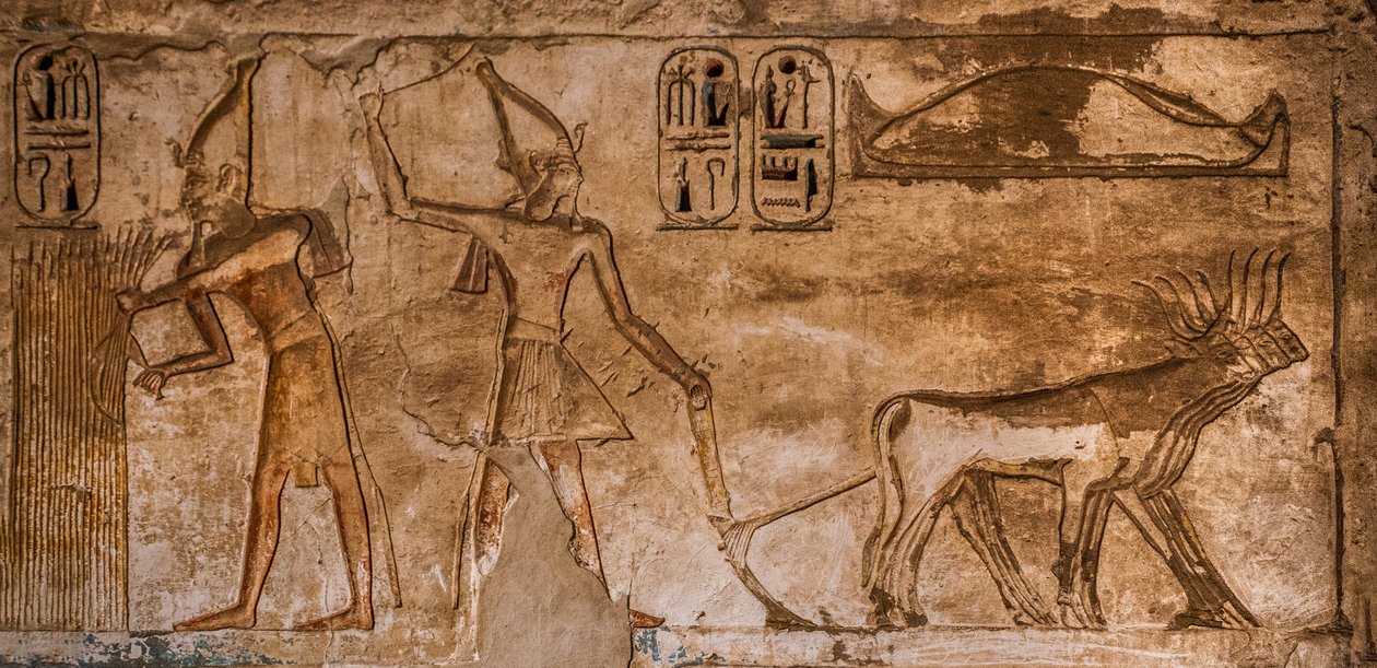 Rilievo con scene di fuoco sulla parete nord-est della stanza 26, Medinet Habu, tempio funerario di Ramses III, Luxor, Tebe-Ovest, Egitto, Africa (foto) da Unbekannter Künstler