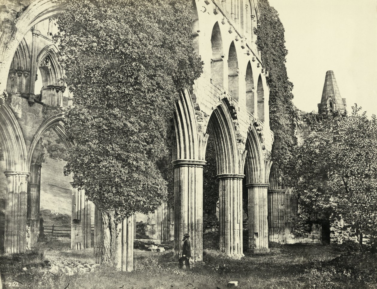 Abbazia di Rievaulx, North Yorkshire, Regno Unito da Unbekannter Künstler