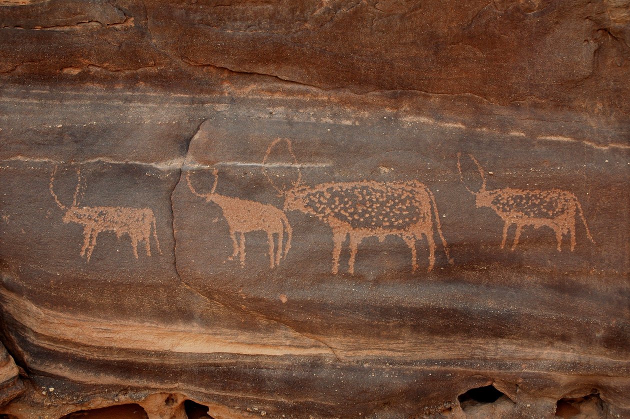 Arte rupestre, Preistoria: Incisione di quattro bovini nel massiccio di Uweinat, Sudan da Unbekannt