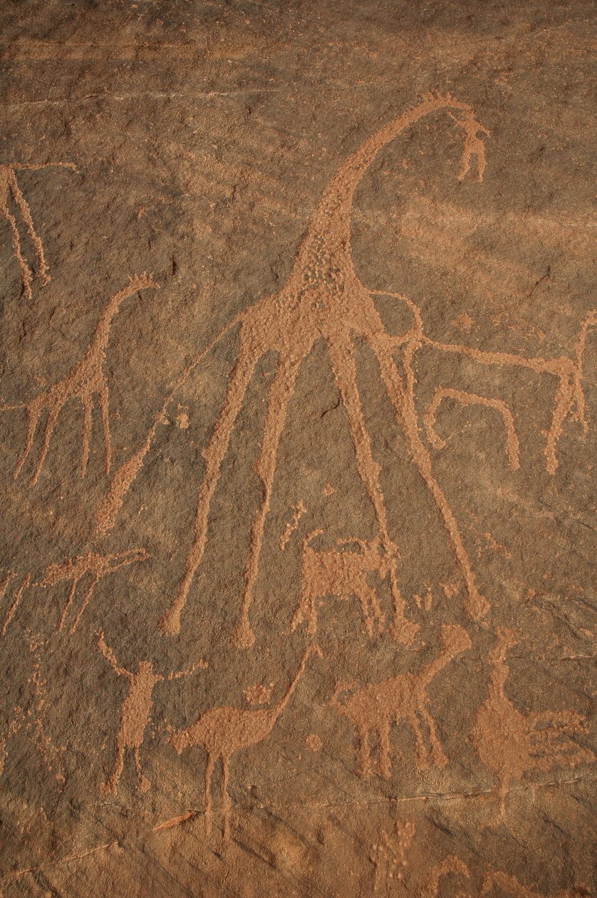 Arte rupestre, Preistoria: Incisione di giraffe, struzzi, pecore e personaggi nel massiccio di Uweinat, Sudan da Unbekannt