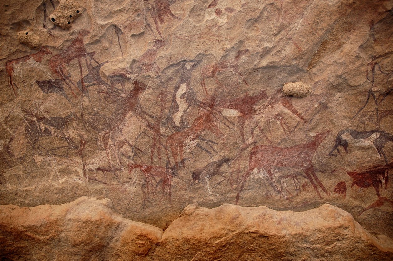 Arte rupestre, Preistoria: Pittura rupestre di un gruppo di bovini e personaggi policromi in un rifugio ornato, nel massiccio di Uweinat, Sudan. Periodo da 8000 a 3000 anni a.C. Fotografia da Unbekannt