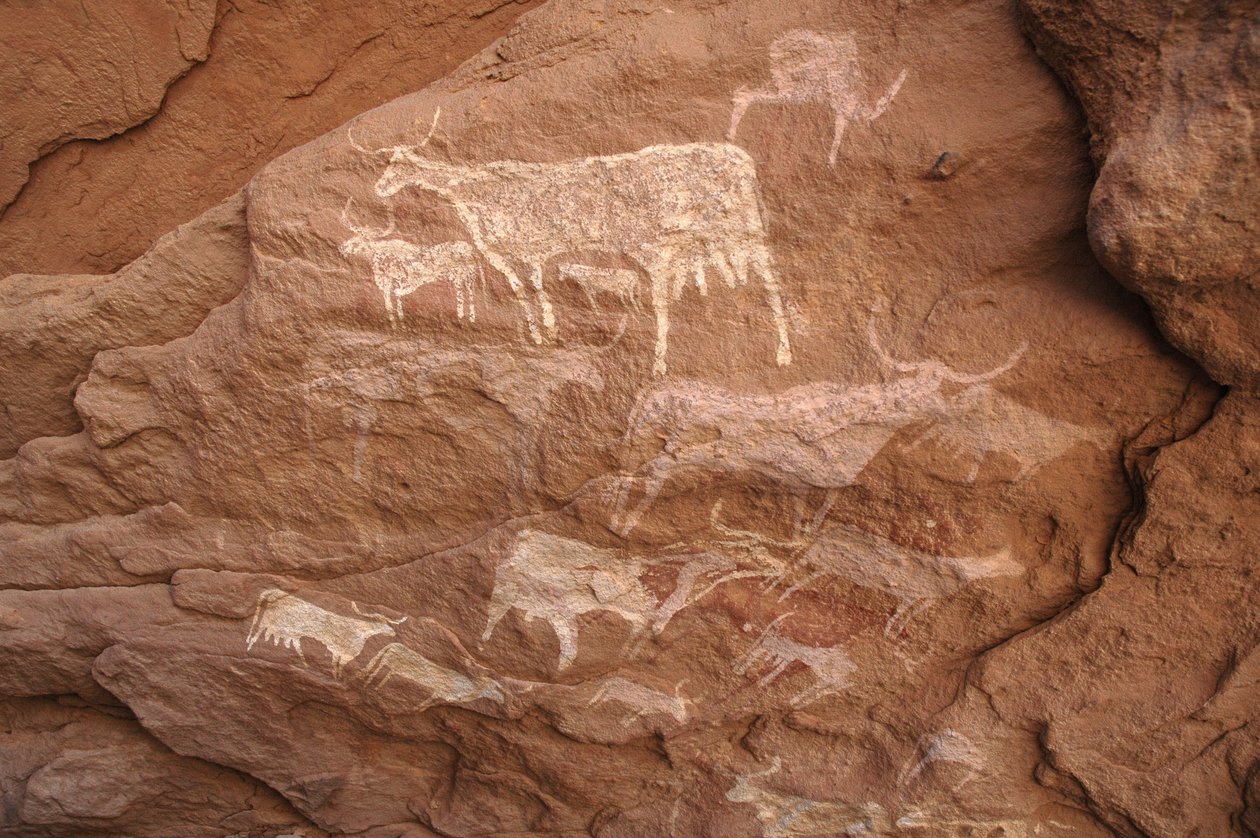Arte rupestre, Preistoria: Pittura rupestre di un gruppo di bestiame in un rifugio ornato, nel massiccio di Uweinat, Sudan (Karkur-Talh). Periodo da 8000 a 3000 anni a.C. Fotografia da Unbekannt