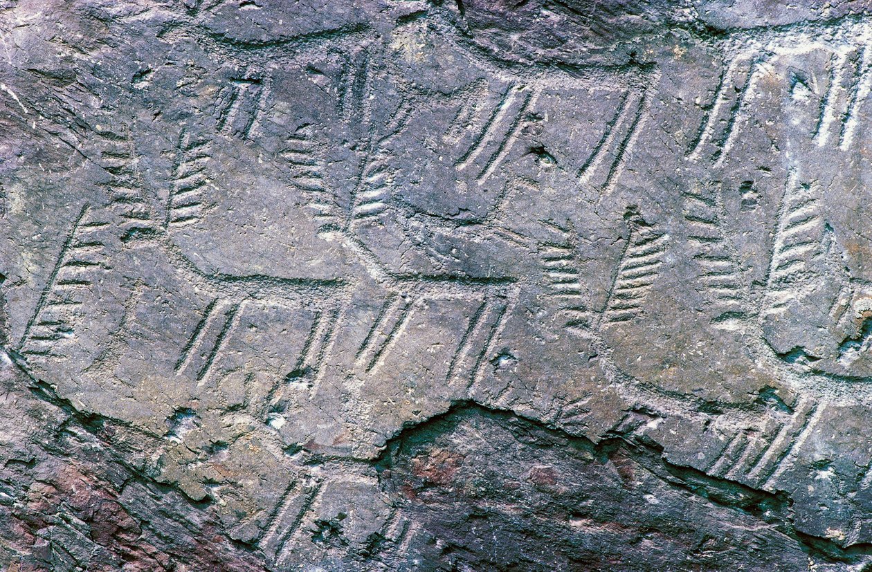 Incisioni rupestri nel Parco Archeologico Nazionale dei Massi di Cemmo, Val Camonica (Lista del Patrimonio Mondiale Unesco) da William M. Timlin