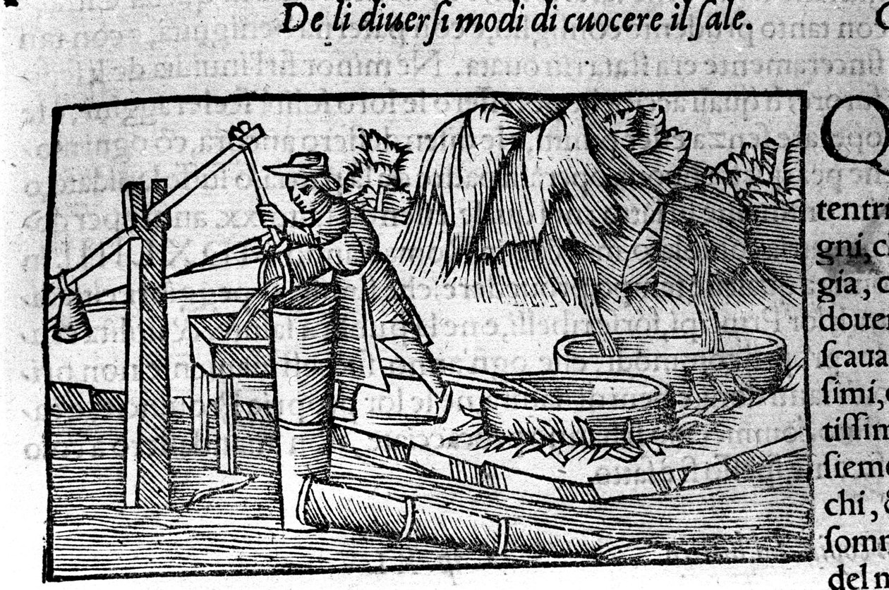 Produzione di sale: cottura. Incisione di Olaus Magnus (1490-1557), religioso e geografo svedese, "Historia de Gentis Septentrionalibus", Venezia da Unbekannt