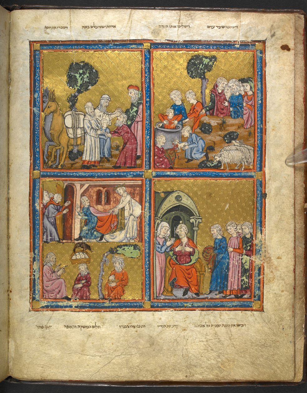 Scene della vita di Giuseppe dall