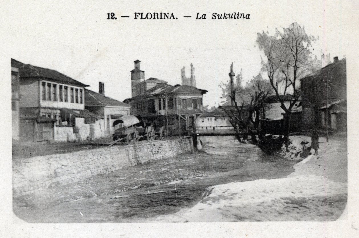 Florina (attuale Grecia): vista di Sukulina da William M. Timlin