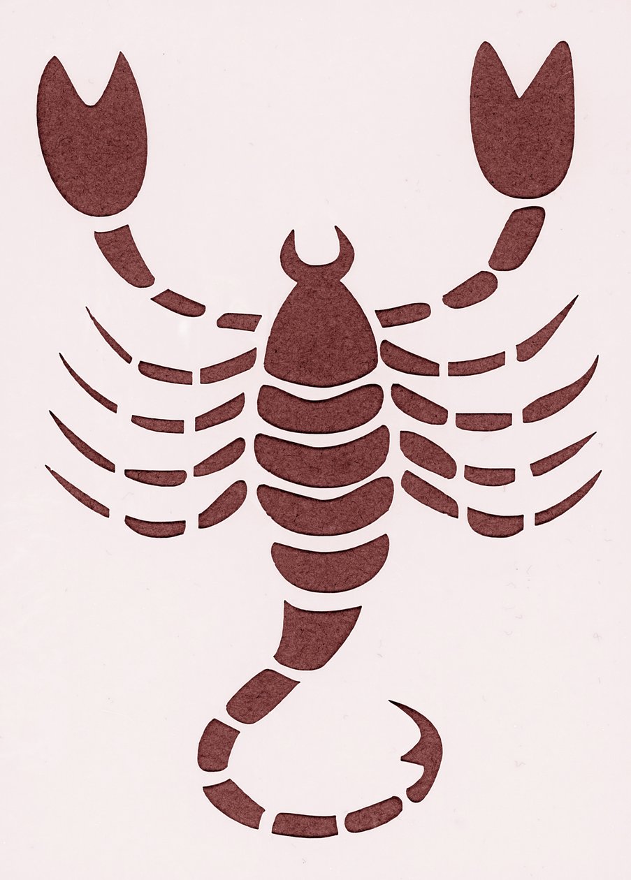 Segno zodiacale: lo Scorpione da Unbekannter Künstler