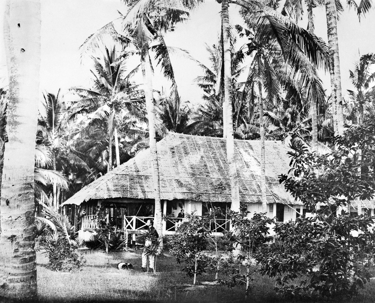 Singapore: Un bungalow privato circondato da palme. Singapore, c1875 da Unbekannt