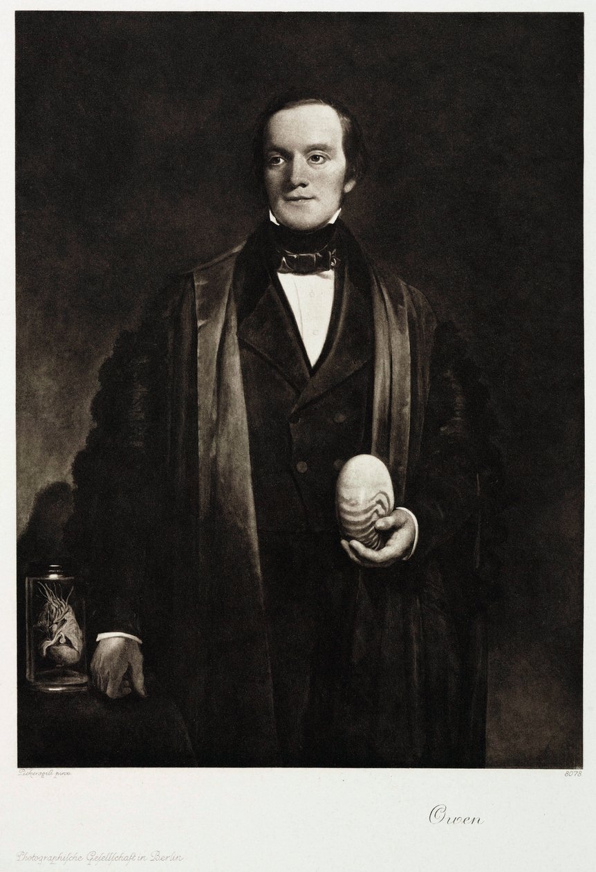 Sir Richard Owen, naturalista e paleontologo inglese, c 1845 da Unbekannt