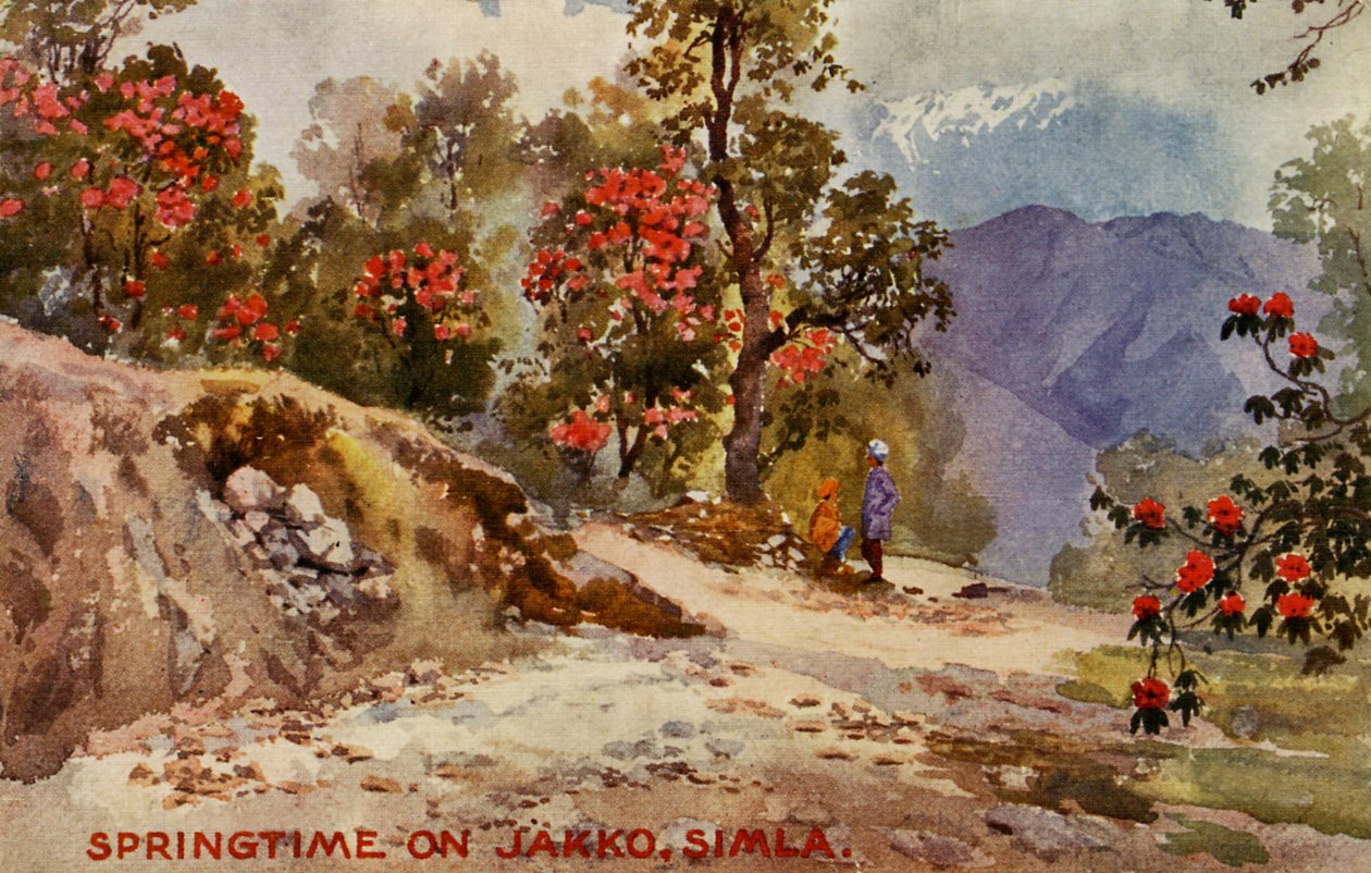 Primavera su Jahko, Simla, India da Unbekannter Künstler