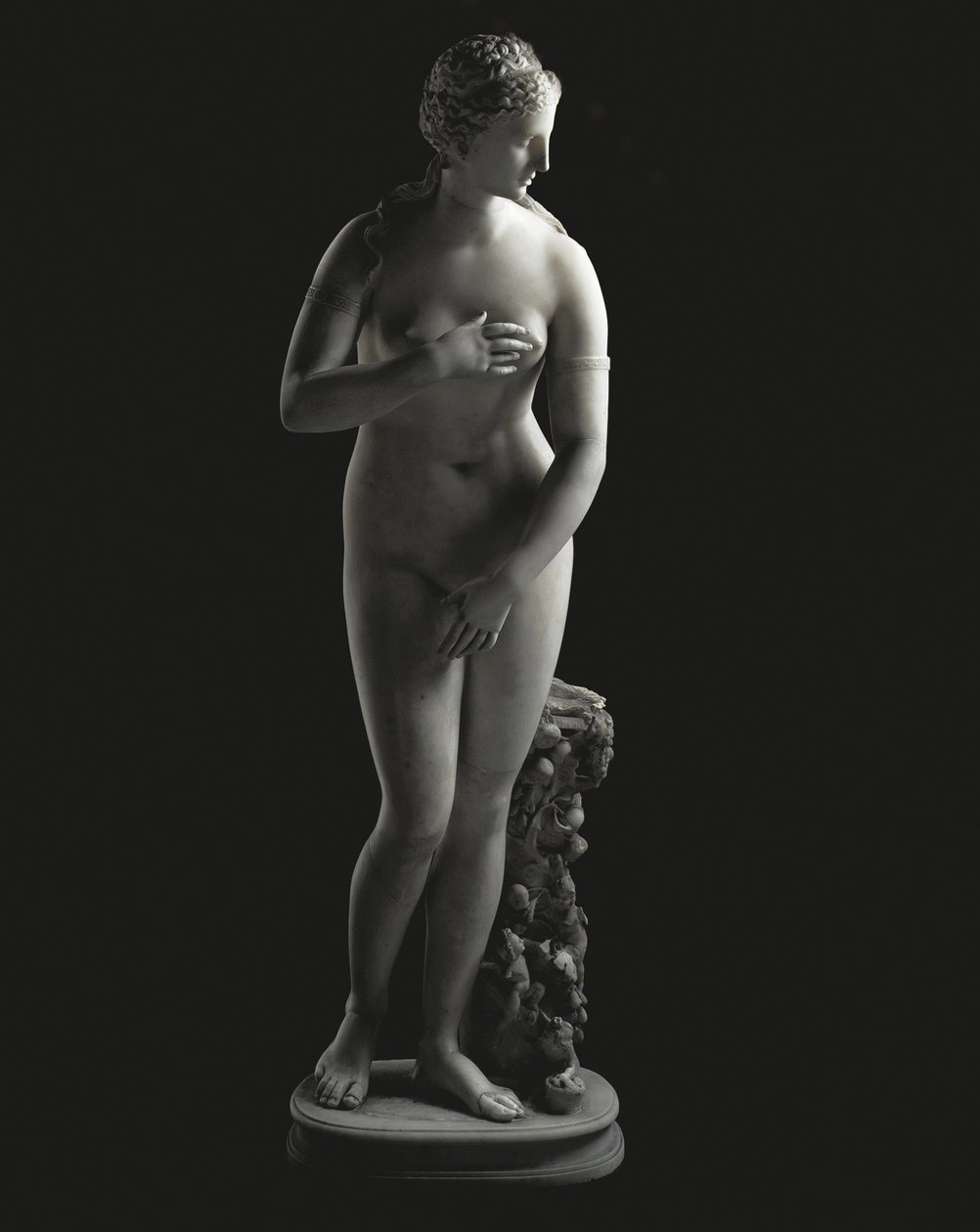 La Venere Jenkins da Unbekannt