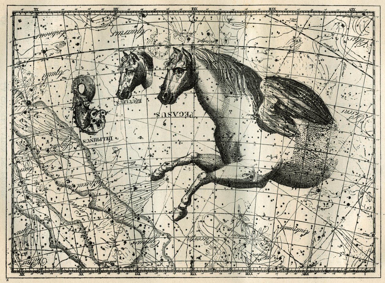 La costellazione di Pegaso, disegnata come la metà anteriore di un cavallo con un paio di ali, il Cavallino, una testa di cavallo e il Delfino. Incisione da "Les étoiles et les autres curiosités du ciel" di Camille Flammarion da Unbekannt