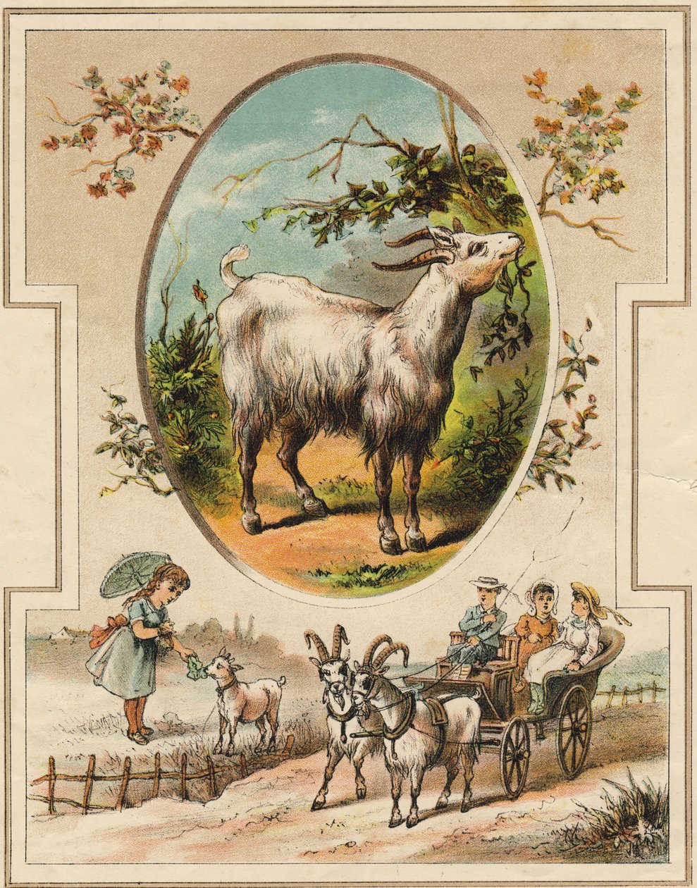 La capra. Incisione in "Mon premier Grand Alphabet". Edizione Bernardin-Bechet, Parigi, circa 1890. Illustrazioni di A. des Lilleuls. 46 pagine. da Unbekannt
