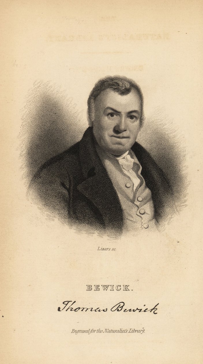 Thomas Bewick, incisore inglese e autore di storia naturale da Unbekannt