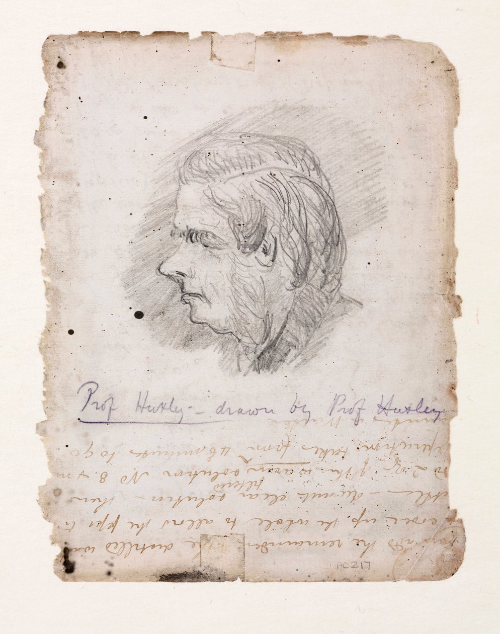 Thomas Henry Huxley, biologo inglese, metà-fine XIX secolo da Unbekannt