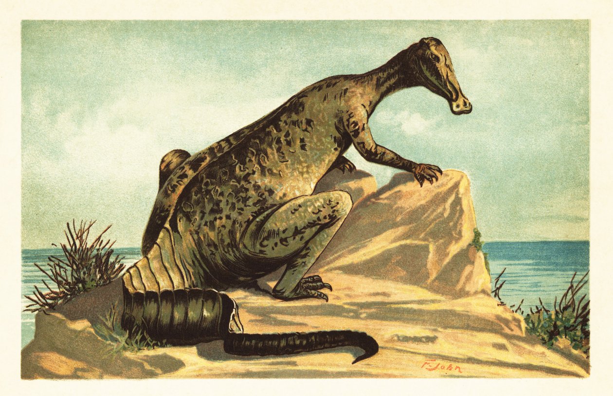 Trachodon mirabilis, dinosauro hadrosauride estinto. 1908 (litografia) da Unbekannter Künstler
