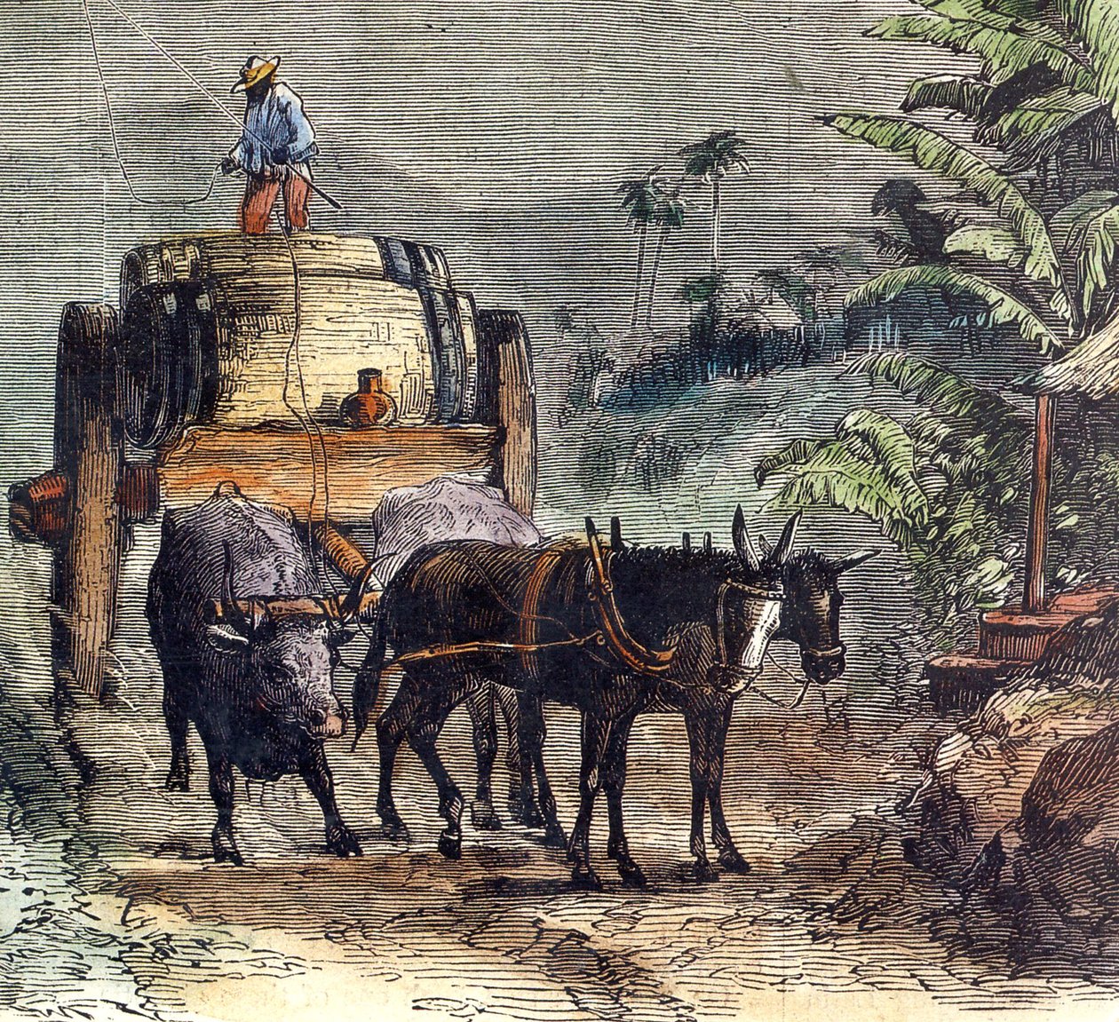 Trasporto di rum da Unbekannter Künstler