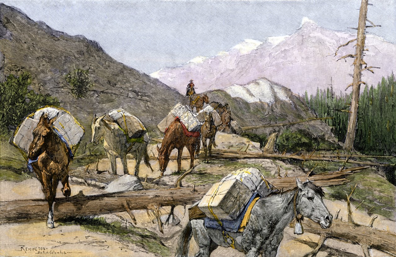 Trasporto di provviste e pellicce a cavallo nelle Montagne Rocciose, USA. Da un