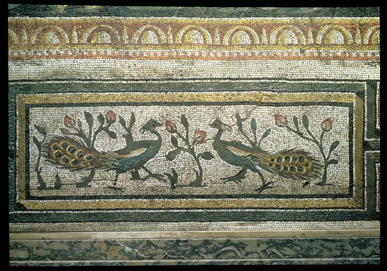 Due pavoni, dettaglio del bordo decorativo di un pavimento a mosaico che raffigura le stagioni e scene di caccia, dalla Villa Costantiniana a Daphne da Unbekannt