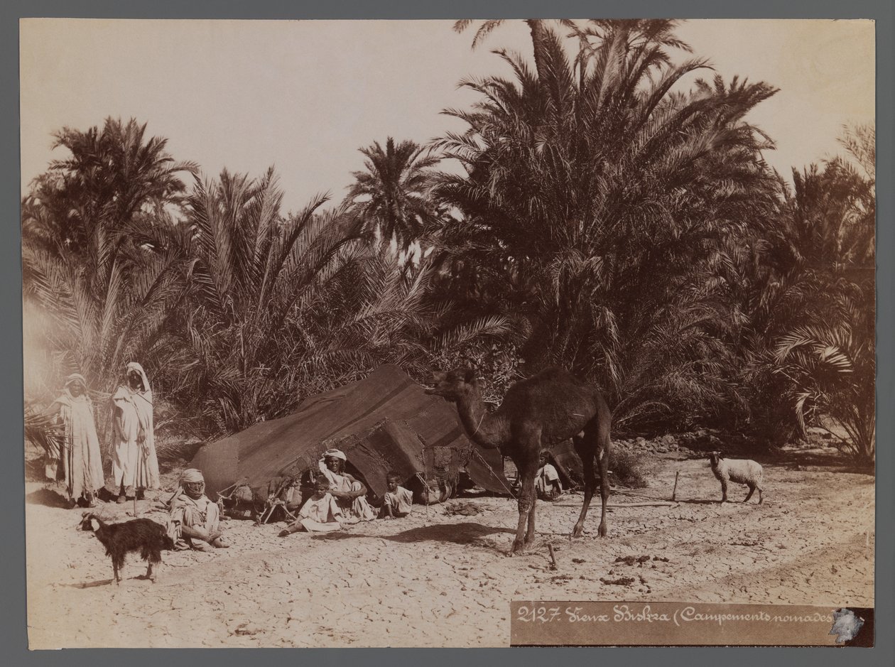 Vista da un sito in Nord Africa - Campo nomade da Unbekannt