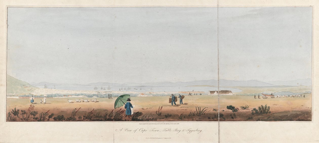 Veduta di Città del Capo, Table Bay e le colline di Tygerberg (Sudafrica). Litografia di J.W. Burchell da Unbekannter Künstler
