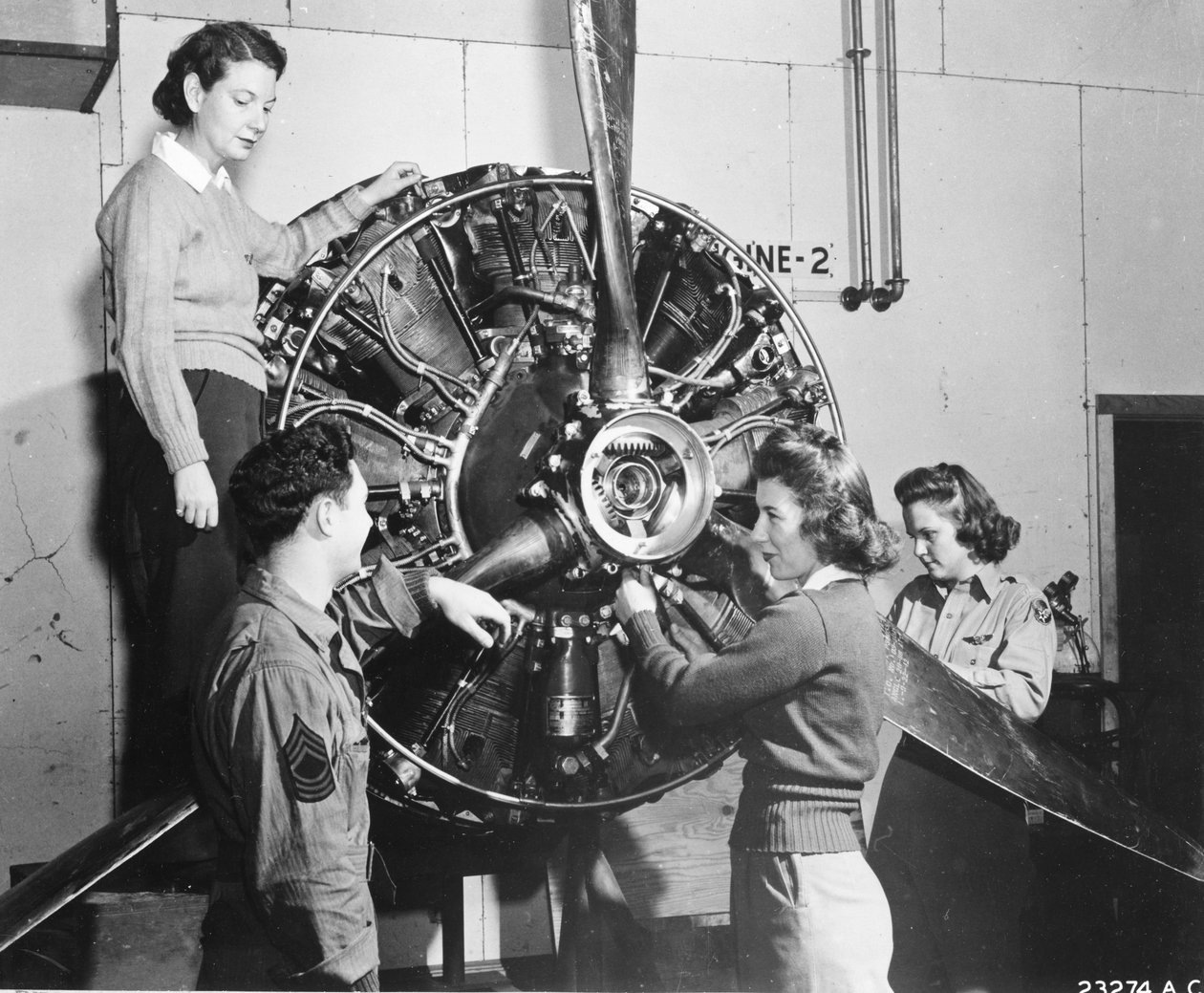 Le vespe imparano da dove viene la potenza nel motore del B-17 Flying Fortress durante l
