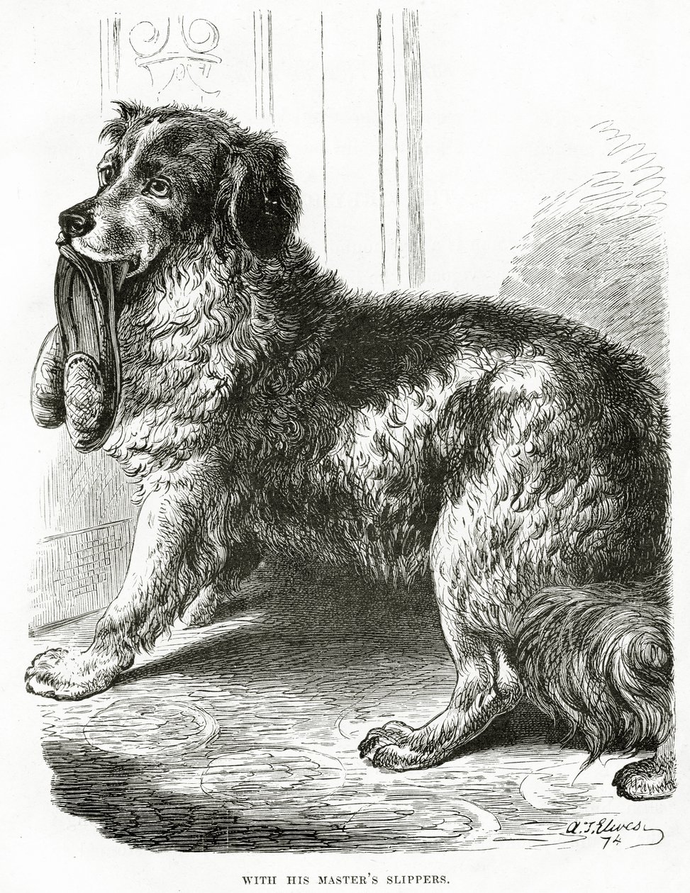 Con le pantofole del suo padrone 1902 da Unbekannt