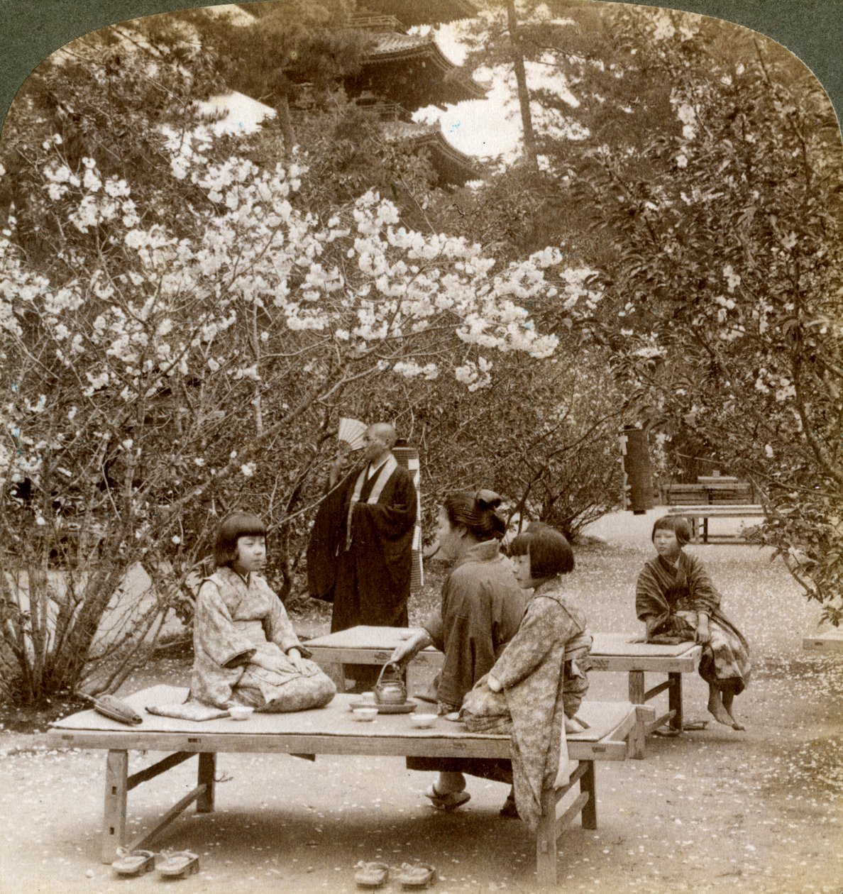 Una famiglia che si gode un picnic sotto i ciliegi in fiore, Omuro Gosho, Kyoto, Giappone, 1904 da Underwood and Underwood