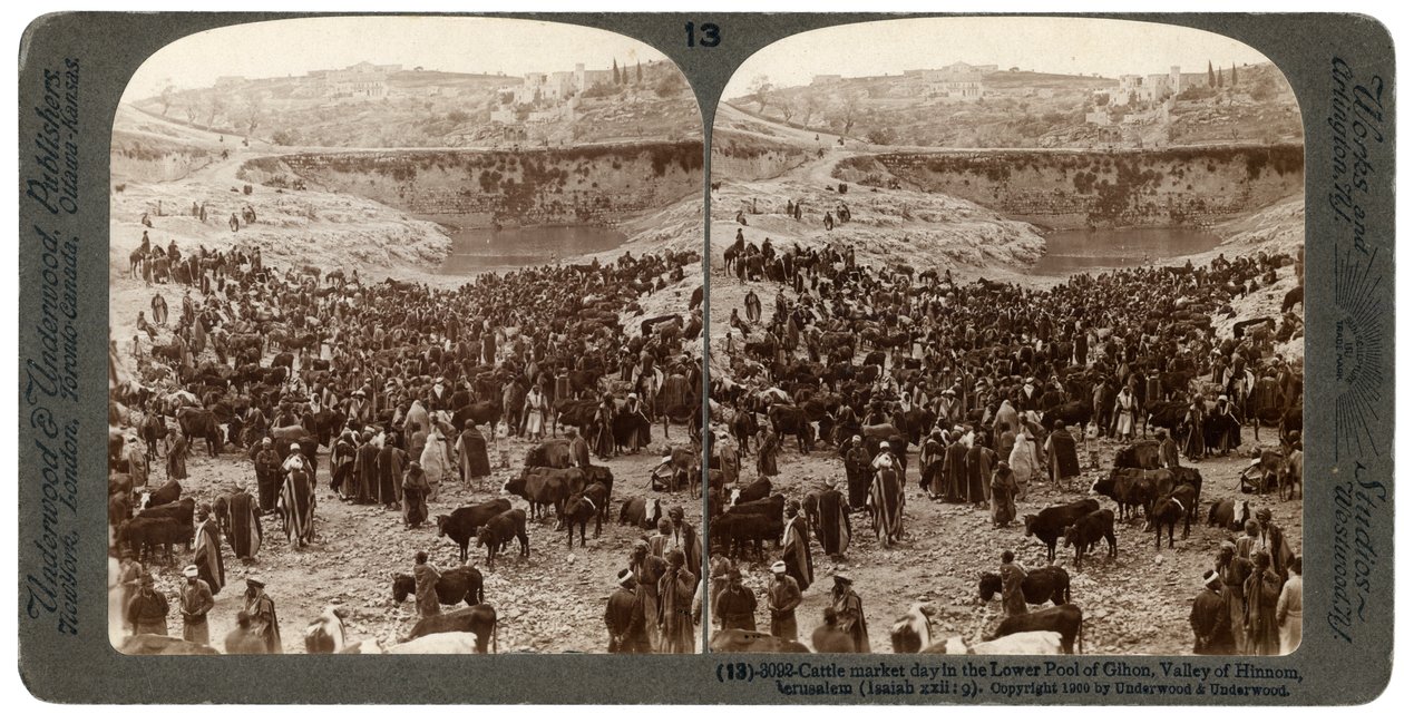 Giorno di mercato del bestiame, nella piscina inferiore di Gihon, Valle di Hinnom, Gerusalemme, Palestina, 1900 da Underwood and Underwood