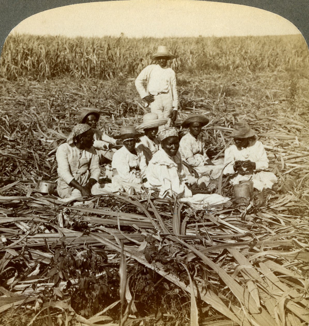 Nella piantagione di zucchero La Union, San Luis, provincia di Santiago, Cuba da Underwood and Underwood