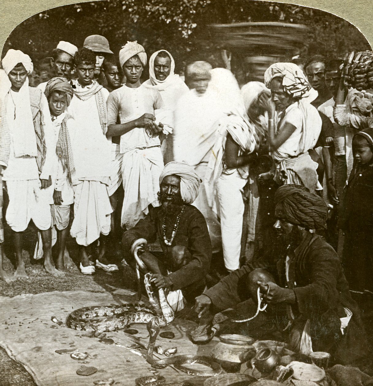 Incantatore di serpenti, Calcutta, India da Underwood and Underwood