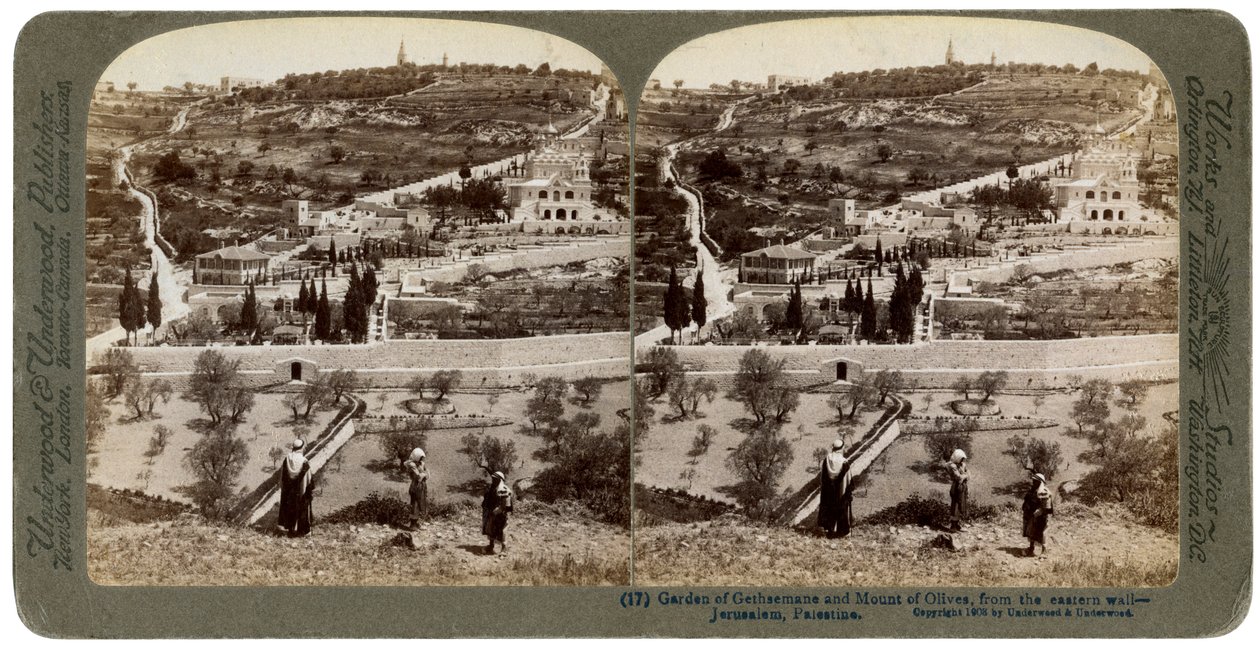Il Giardino del Getsemani e il Monte degli Ulivi, Palestina da Underwood and Underwood