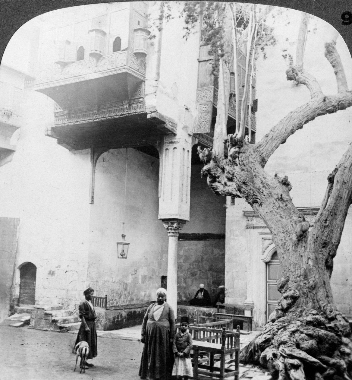 Le finestre dell