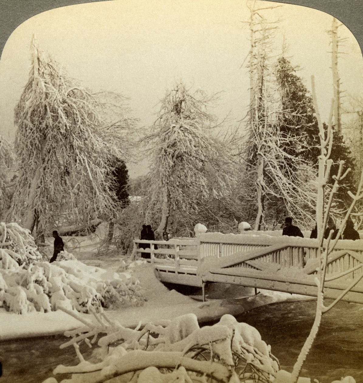 Scena invernale, Isola Luna, Cascate del Niagara, New York, USA da Underwood and Underwood