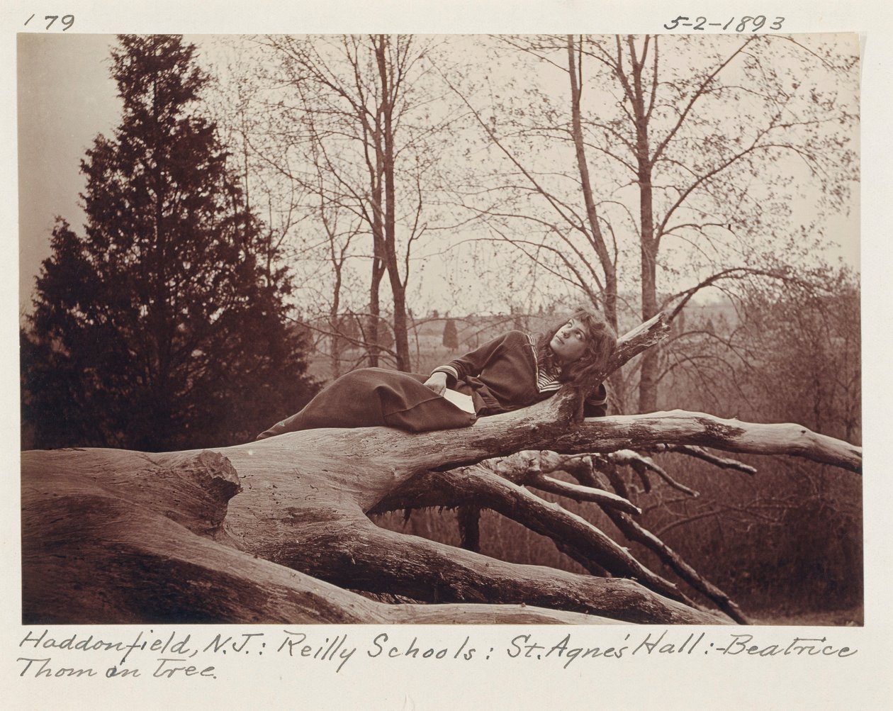 [Beatrice Thom su un albero, Haddonfield, New Jersey]. da Unidentified