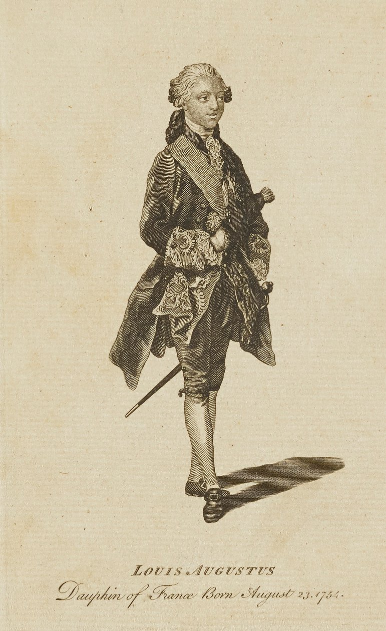 Luigi Augusto, Delfino di Francia da Unidentified