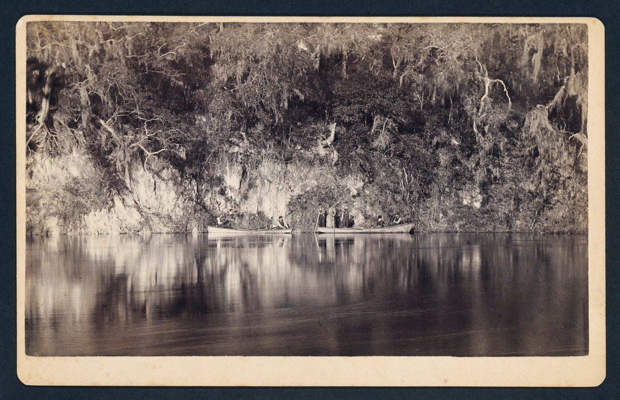 [Sotto le scogliere del fiume Withlacoochee, Florida]. da Unidentified