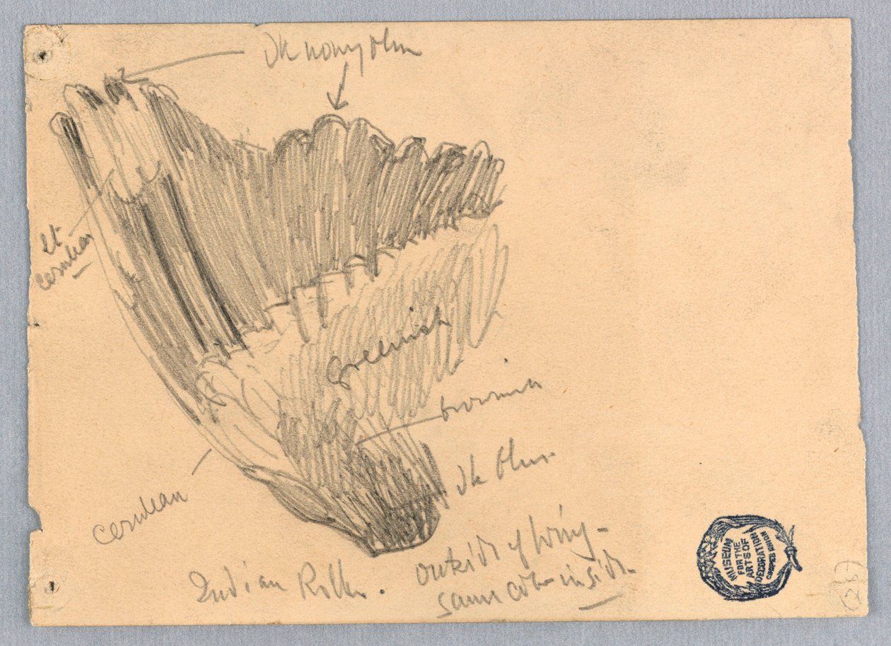 Disegno da Unknown