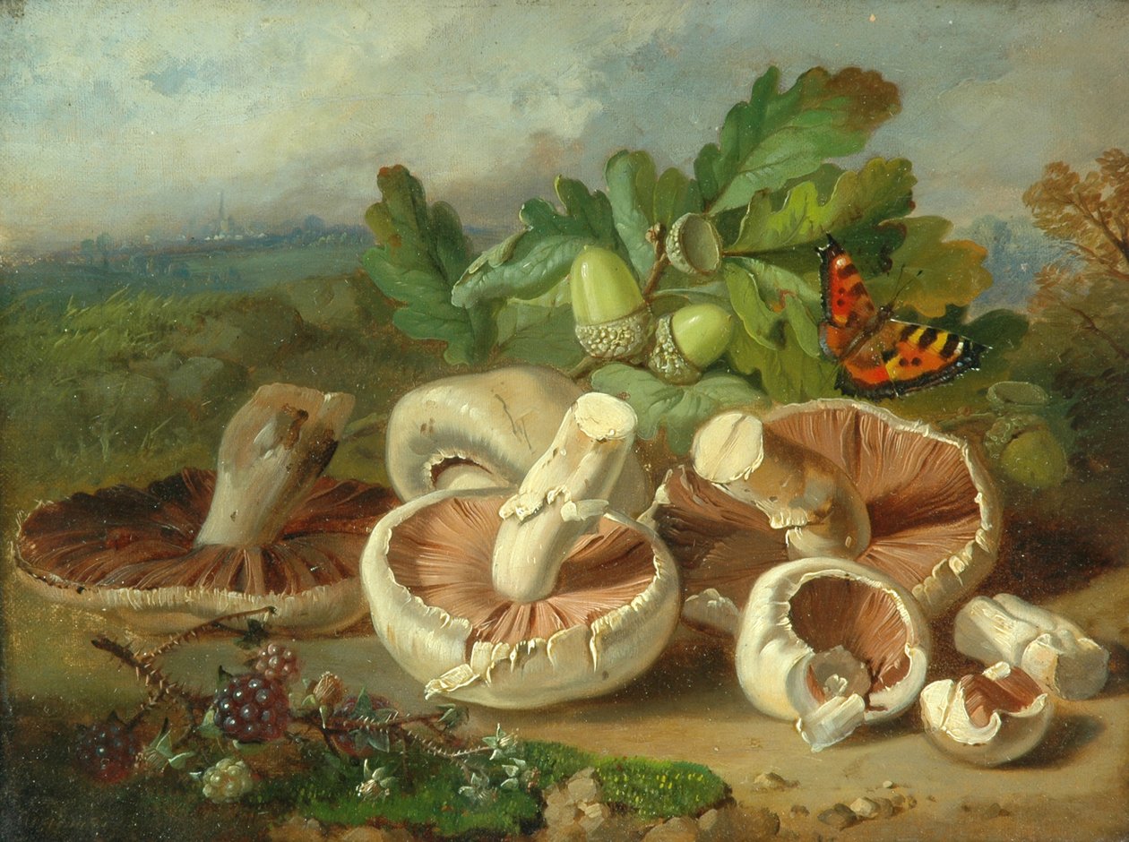 Natura morta con funghi ecc., 1859 da Unknown